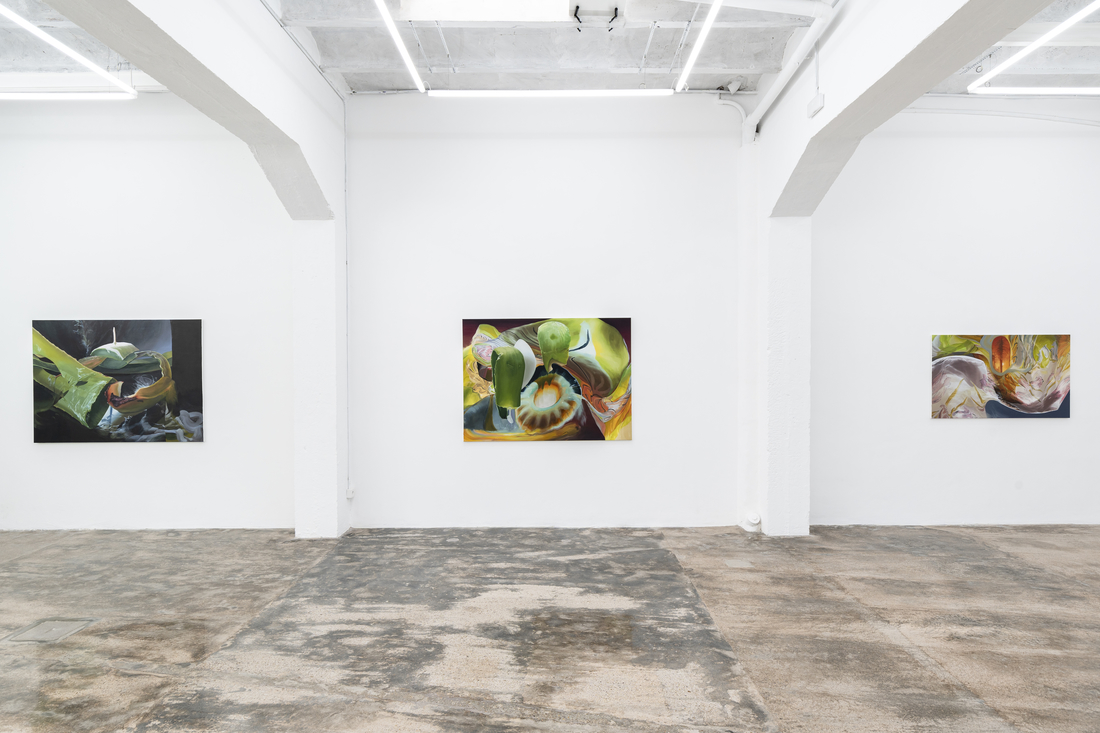 Janice McNab, Galaxy Ballroom, Galeria Fermay, Palma, Spain, September – November 2024