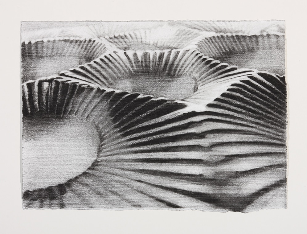 Janice McNab, The Chocolate Box Paintings ‘Untitled drawing’ (2008), 31x43cm, Conté pencil on paper